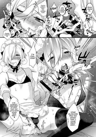 Dokidoki Mesu Ochi Gohoushi Seikatsu