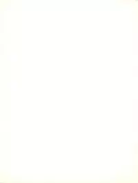 [Feeld Hern Halle (Various)] Perfect Lum (Urusei Yatsura)