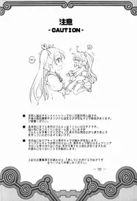 (C90) [Yousei Allergen (TEC)] Shikoshiko-san Dame desu you!! (Summon Night 3)