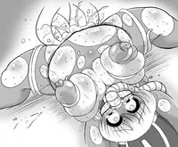 [Benichigaya] Toro Hole Plus