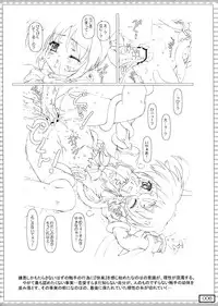(COMIC1☆3) [Testa Kitchen (Testa)] nanO RAISER (Mahou Shoujo Lyrical Nanoha)