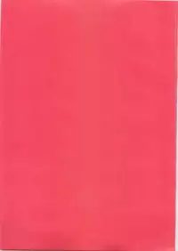 (Shota Scratch 16) [Ash Wing (Makuro)] Usa Nyan