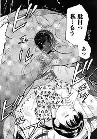 COMIC Himedorobow 2008-04