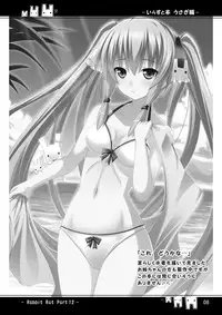 (C80) [Rat Rabbit] Hen bunny illustration book -Rabbit Rat Part12- (Original)