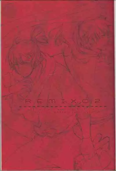 REMIX 02 2009‐2011