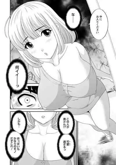 Innyu Shufu no Futei Ganbou