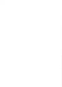 (C84) [Attendance Number 26 (Niro)] Sannninn anan (Touhou Project)