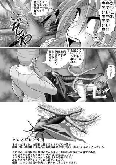 Chitsu Hakai-kei Joshi 6