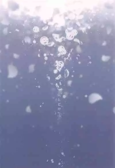 Shiawase no Oto - Sound of Happiness