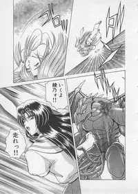 [Gun Ryuusei] Wakakusa Bishoujotai vol.4