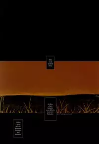 [okama] Hanafuda [English]