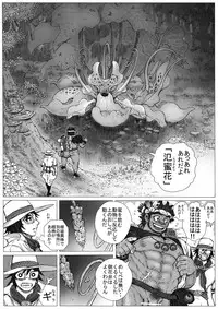 From countries Hepoe 14