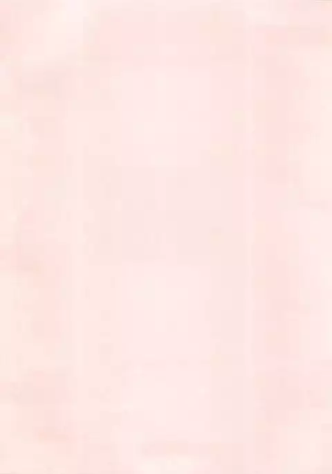 [Pink Macadamian PINK MACADAMIAN Vol. 2