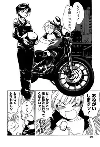 [Bureido] Momoiro Joi Gokko