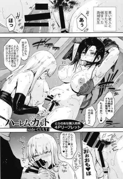 Harem Cult side CULT