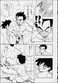 (C49) [Chirigami Goya / Fusuma Goten] Z (Dragonball)