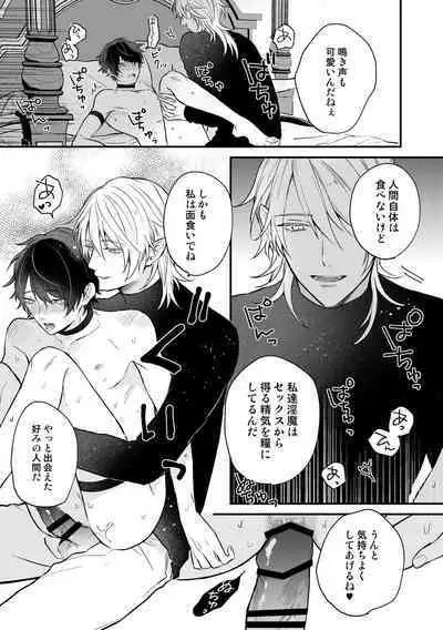 Isekai de Akuma ni Kawareteimasu