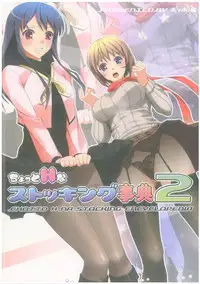 (C83) [Poppozu (Hiyoko Daiou, Kohinata Ryou)] Chotto H na Stocking Jiten 2