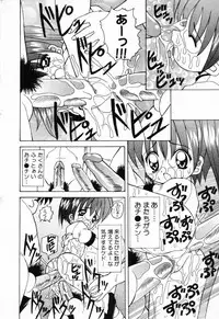 [Anthology] Pure Petit Vol. 23