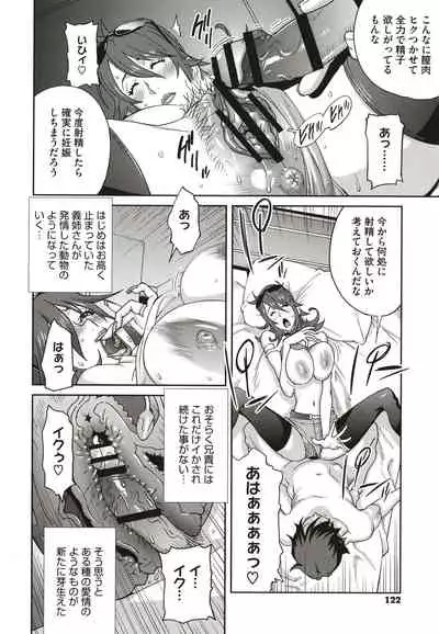 Nyuugyaku no Rudbeckia