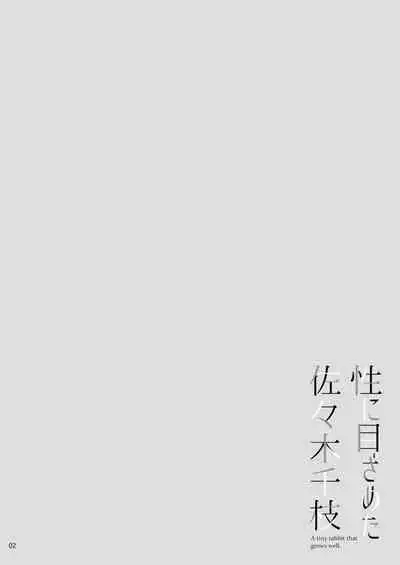 Sei ni Mezameta Sasaki Chie