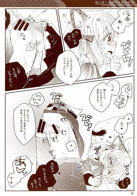 Nekomimi Shippo no Uso Himitsu