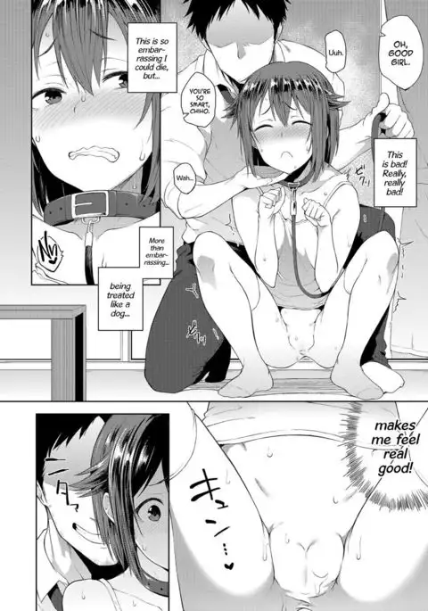 Wonder Collar =TLL + mrwayne=