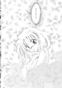 Magic Knight Rayearth - Royal Green