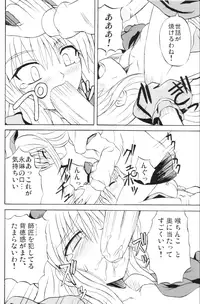 (Reitaisai 3) [Takakuya (Takaku Toshihiko)] Touhou Youjo Ranbu 6 (Touhou Project)