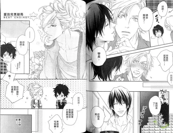 Best Ending? | 愛的完美結局?