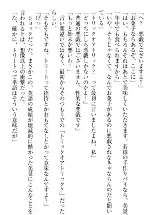 年上メイドの新婚日記