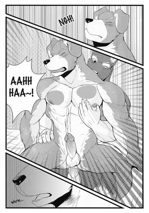 Holidays of First Time