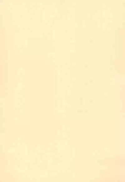 [Soukentyaya (Nemokuge)] Samo Harami Ni (Summon Night) [Chinese]