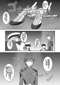 (SC19) [Parameter (S Parameter)] Ripe (GUNDAM SEED)