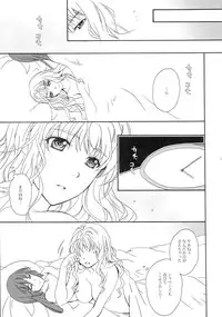 (C89) [LOVE ME DO (Natsume)] PRIZM FORTUNE (Macross Frontier)