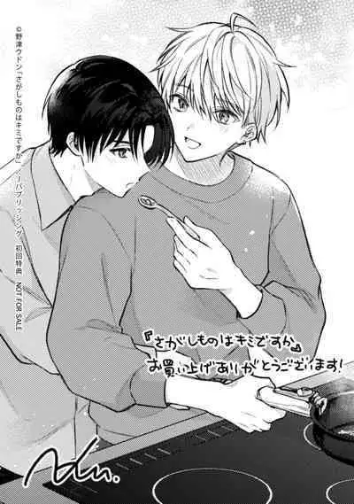 Sagashi Mono wa Kimi desu ka