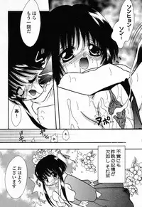 [Anthology] Pure Petit Vol. 23
