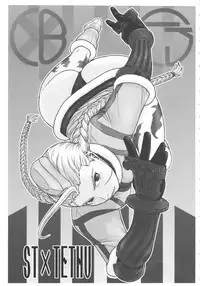 (C81) [From Japan (Aki Kyouma)] ST×TETHU (Street Fighter)