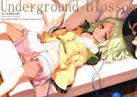 (C86) [Gekidoku Shoujo (ke-ta)] Underground Blossom (Touhou Project)