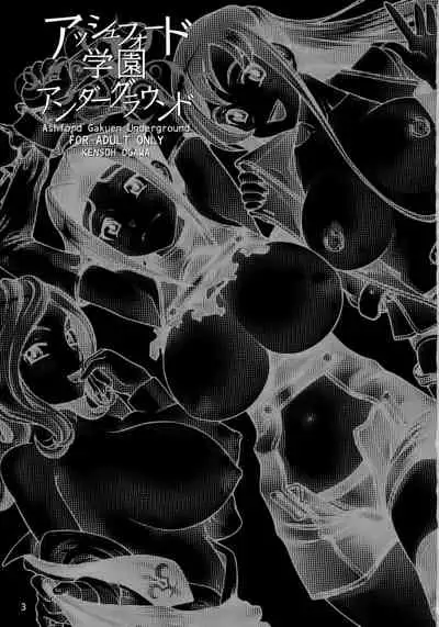 Ashford Gakuen Underground