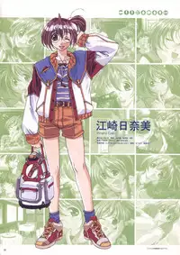 Natural 2 Duo Visual Fan Book