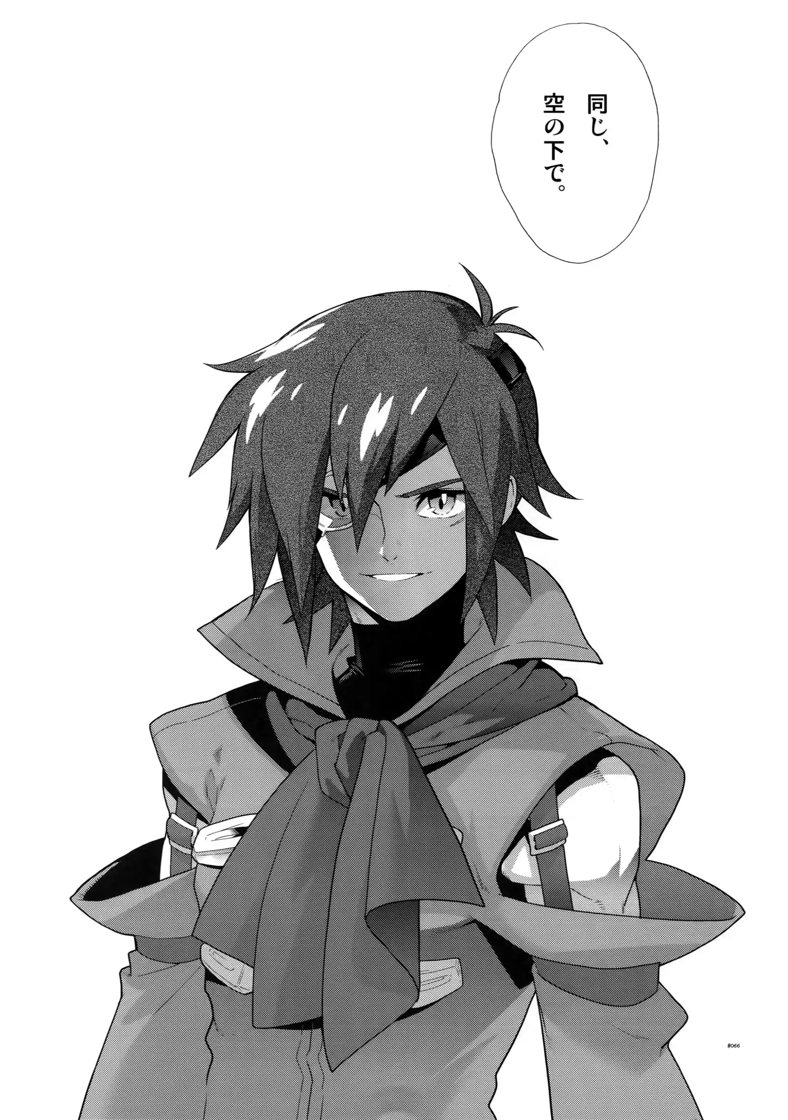 Anthurium.EA01 Shinsouban