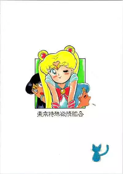 Chotto Kawatta Majokko Hon 2