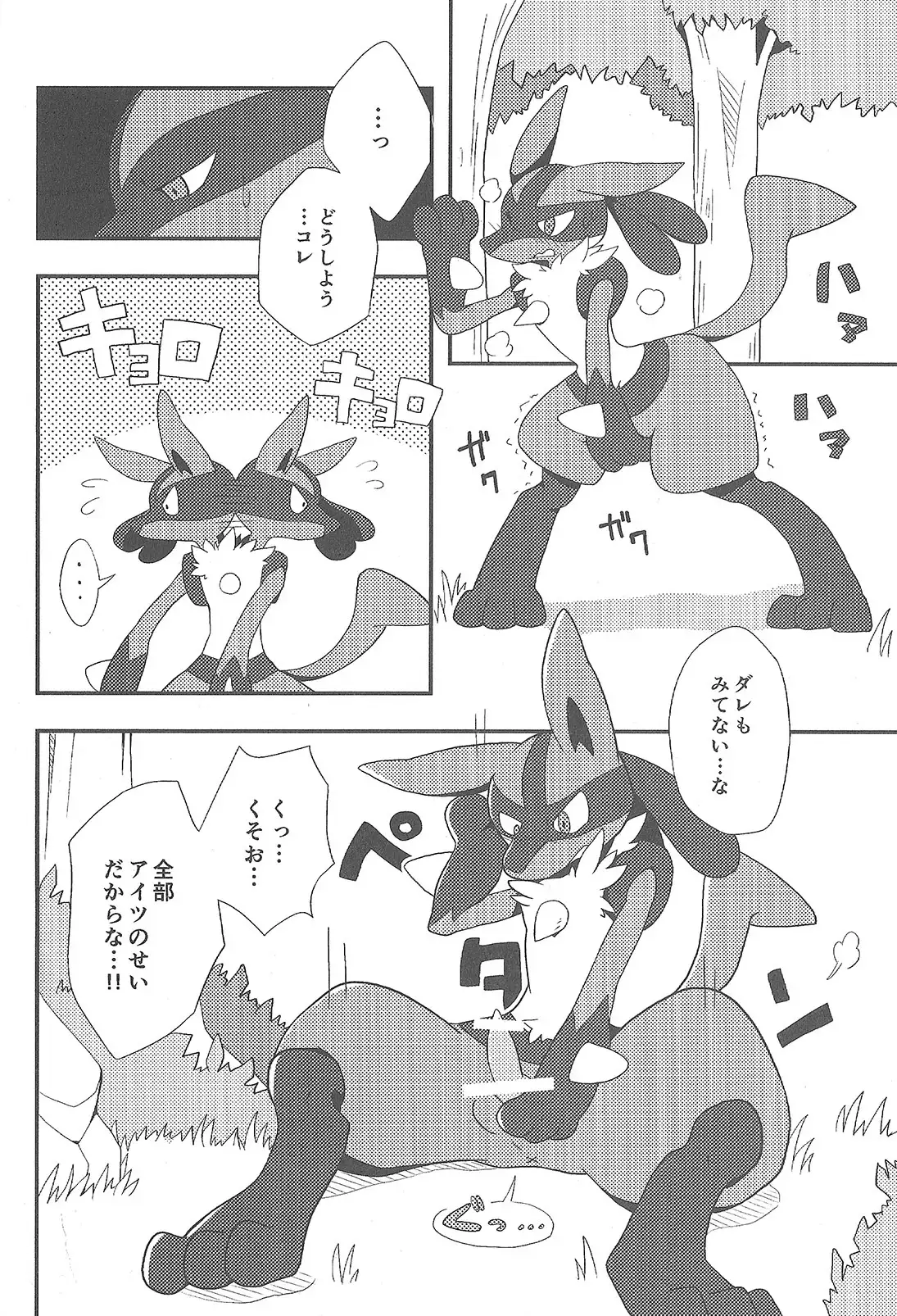LUCARIO IJIME ANTHOLOGY