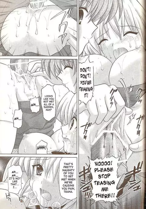 Nanoha no Zettai Zetsumei S+