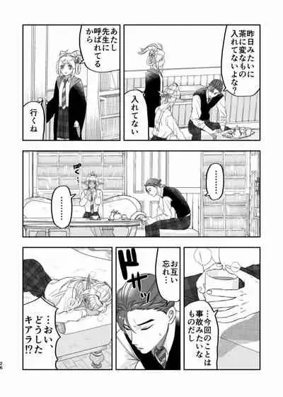 Wizard's love affairs