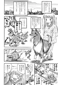 [Usakun] Hatsukoi! Lyrical H [Digital]