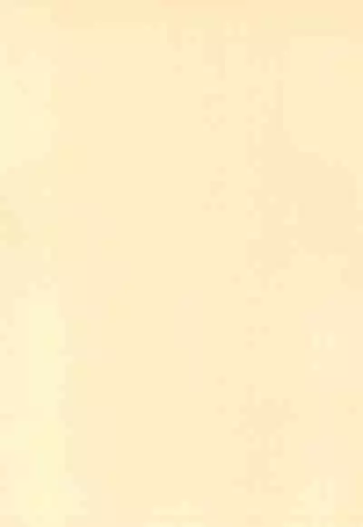 [Soukentyaya (Nemokuge)] Samo Harami Ni (Summon Night) [Chinese]