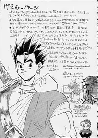 (C49) [Chirigami Goya / Fusuma Goten] Z (Dragonball)