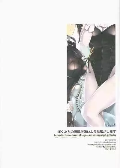 Boku-tachi no Danmaku ga Usui You na Ki ga Shimasu